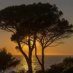 Delfino Massa Lubrense